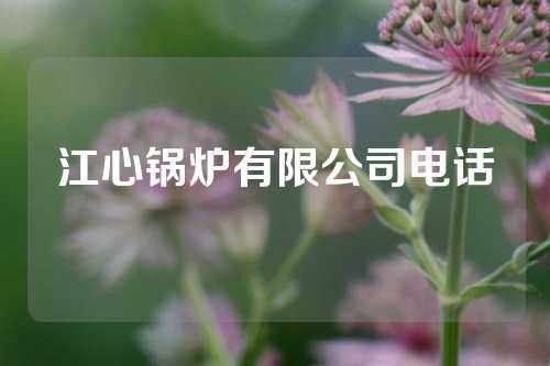 江心锅炉有限公司电话