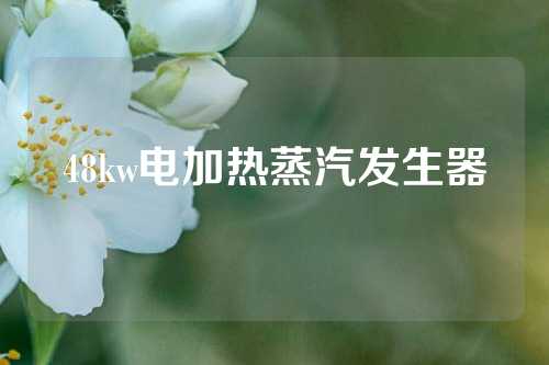 48kw电加热蒸汽发生器