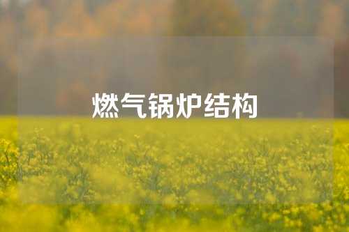 燃气锅炉结构