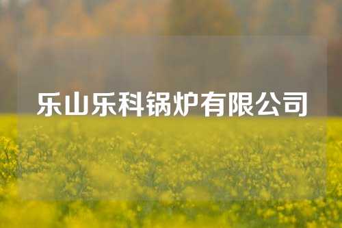 乐山乐科锅炉有限公司