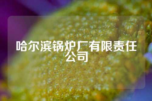 哈尔滨锅炉厂有限责任公司