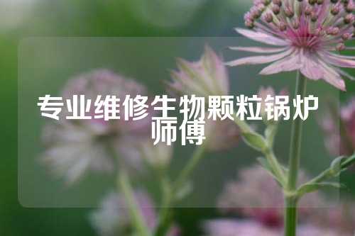 专业维修生物颗粒锅炉师傅