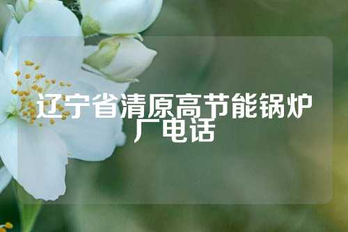 辽宁省清原高节能锅炉厂电话