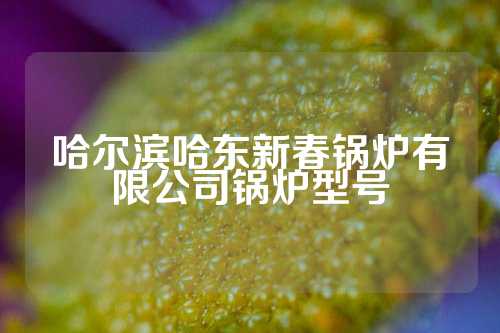 哈尔滨哈东新春锅炉有限公司锅炉型号