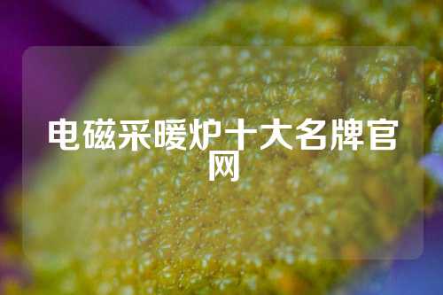 电磁采暖炉十大名牌官网