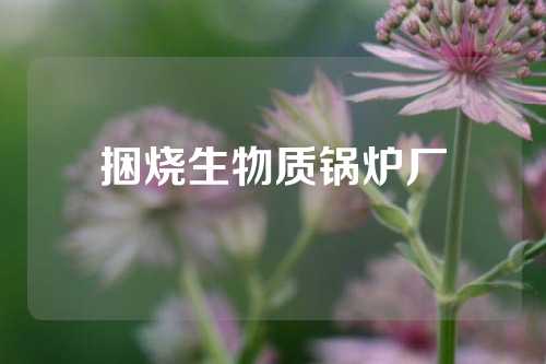 捆烧生物质锅炉厂