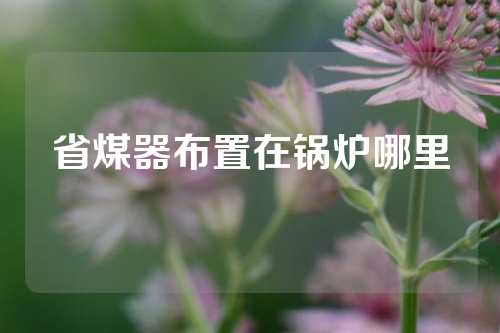 省煤器布置在锅炉哪里