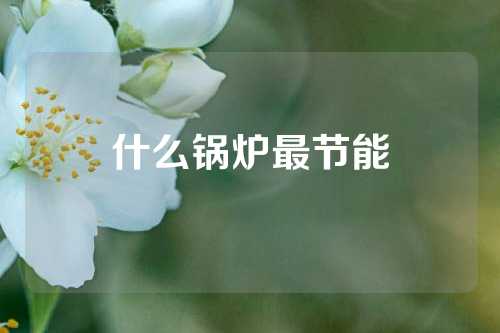 什么锅炉最节能