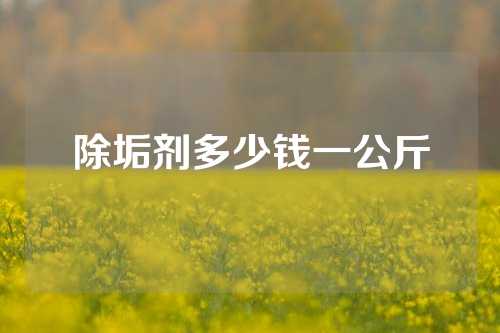 除垢剂多少钱一公斤