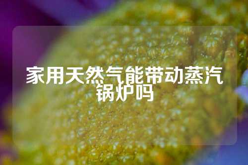 家用天然气能带动蒸汽锅炉吗