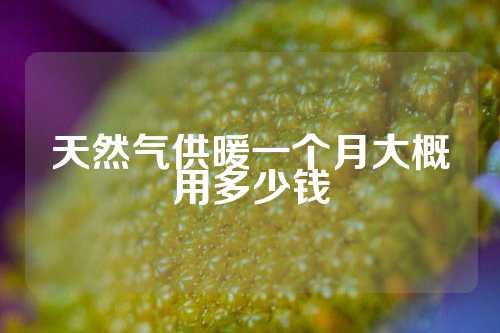 天然气供暖一个月大概用多少钱