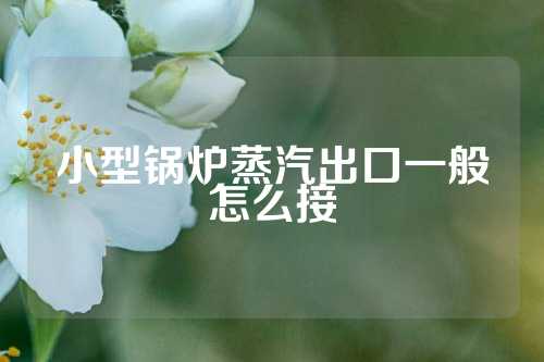 小型锅炉蒸汽出口一般怎么接