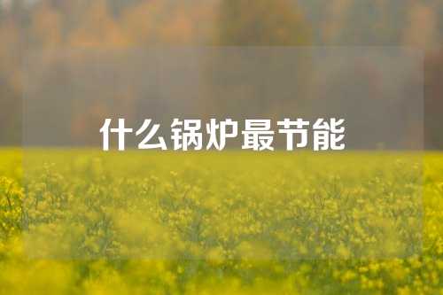 什么锅炉最节能