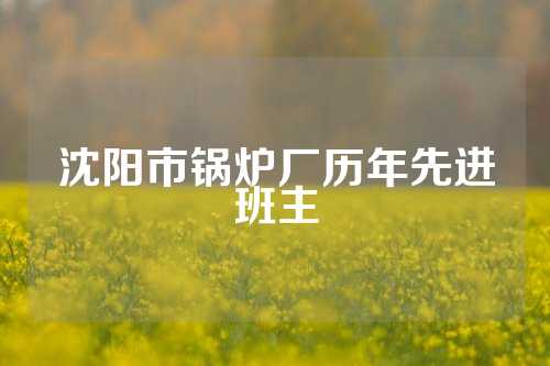 沈阳市锅炉厂历年先进班主