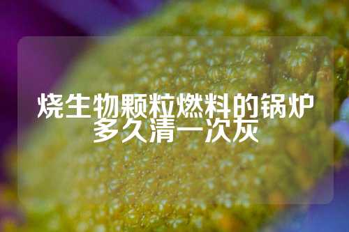 烧生物颗粒燃料的锅炉多久清一次灰