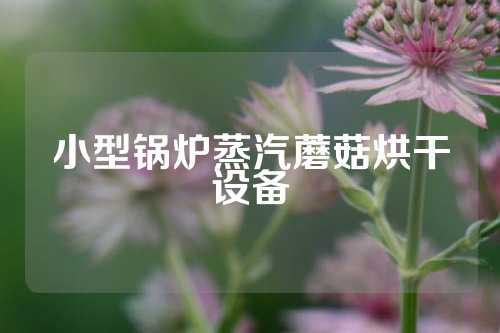 小型锅炉蒸汽蘑菇烘干设备