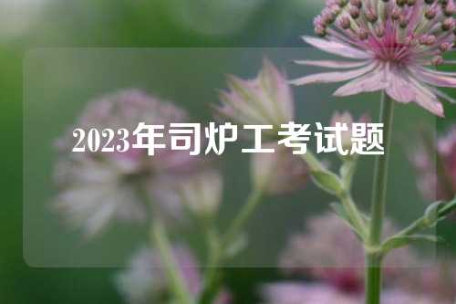 2023年司炉工考试题