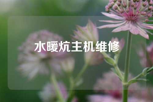 水暖炕主机维修