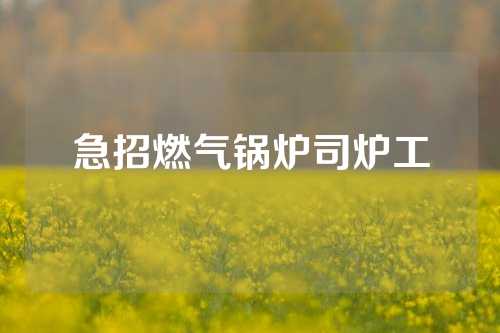 急招燃气锅炉司炉工