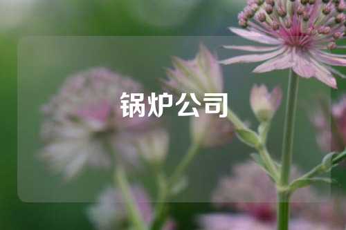 锅炉公司