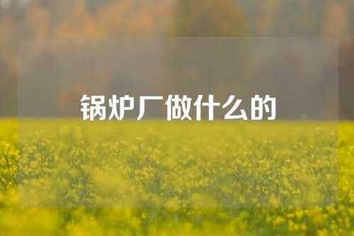 锅炉厂做什么的