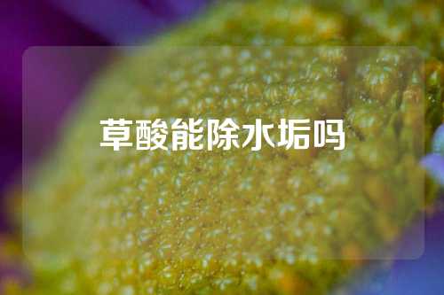 草酸能除水垢吗