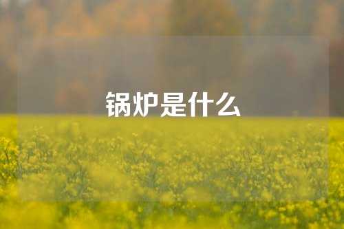 锅炉是什么