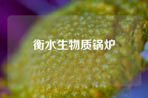 衡水生物质锅炉