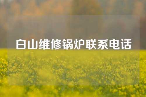 白山维修锅炉联系电话