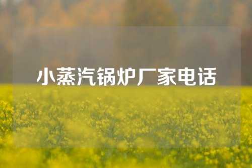 小蒸汽锅炉厂家电话