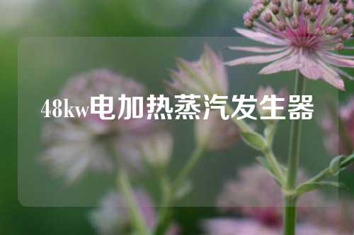 48kw电加热蒸汽发生器