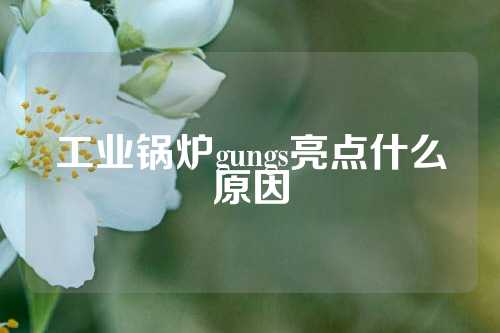 工业锅炉gungs亮点什么原因