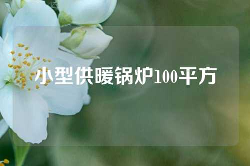 小型供暖锅炉100平方