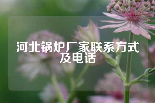 河北锅炉厂家联系方式及电话