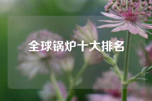 全球锅炉十大排名