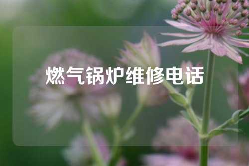 燃气锅炉维修电话