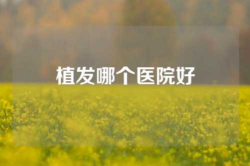 植发哪个医院好