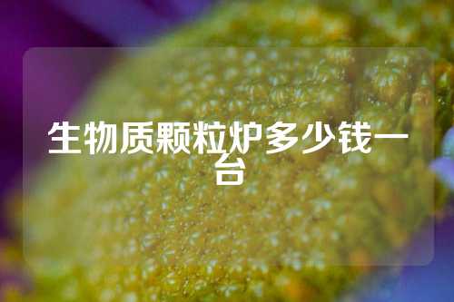 生物质颗粒炉多少钱一台