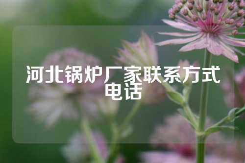 河北锅炉厂家联系方式电话