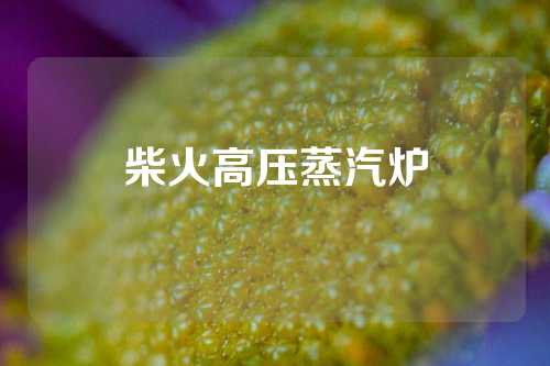 柴火高压蒸汽炉