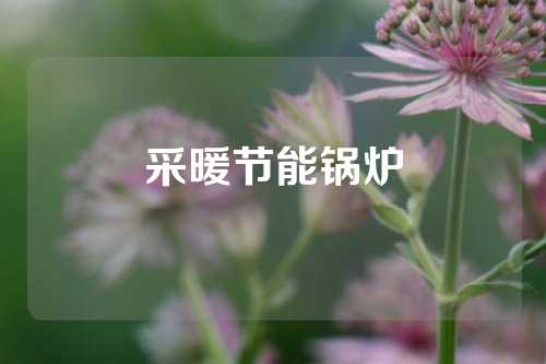 采暖节能锅炉