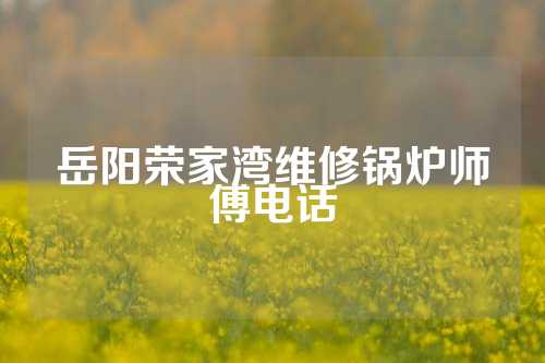 岳阳荣家湾维修锅炉师傅电话