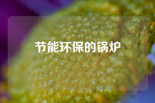 节能环保的锅炉