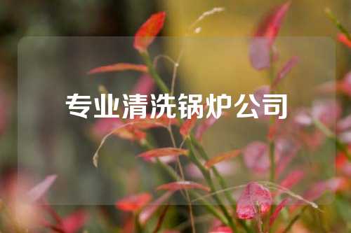 专业清洗锅炉公司