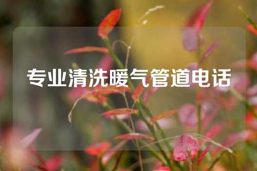 专业清洗暖气管道电话