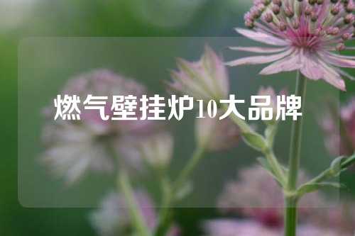 燃气壁挂炉10大品牌