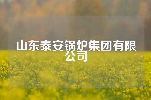 山东泰安锅炉集团有限公司