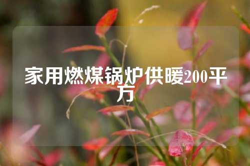 家用燃煤锅炉供暖200平方