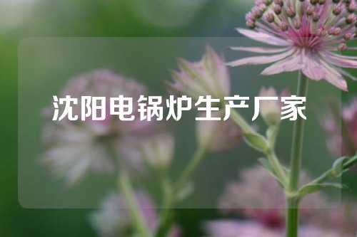 沈阳电锅炉生产厂家