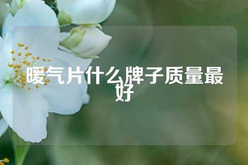 暖气片什么牌子质量最好